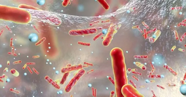 Βιοφίλμ: Τι Είναι και τι Κινδύνους Κρύβει η Παρουσία του στα Τραύματα σας;