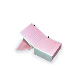 BOURNAS Χαρτί Καρδιογράφου Schiller ERG 900 80mm x 30m 10 τμχ