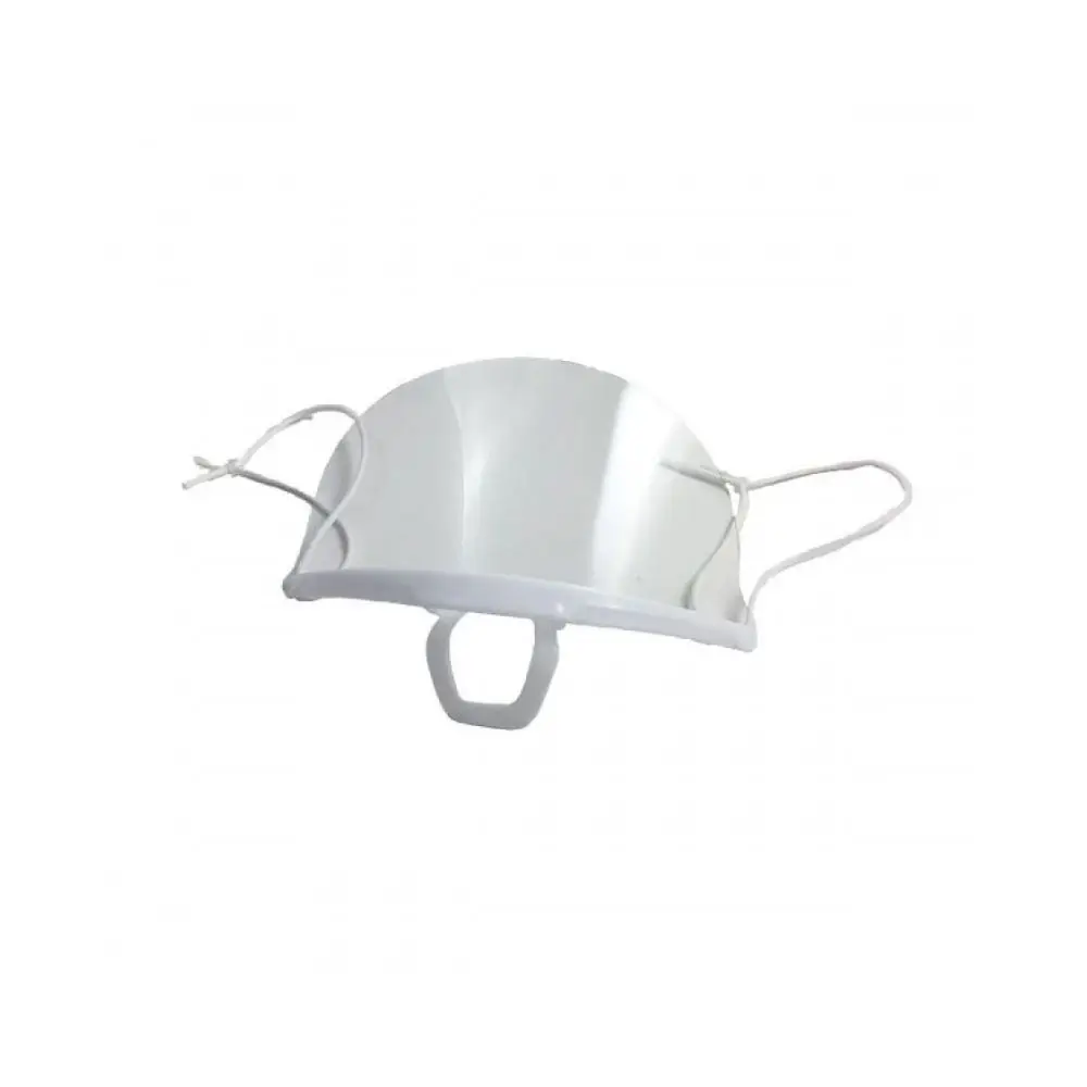Transparent mouth shield (10 pcs)